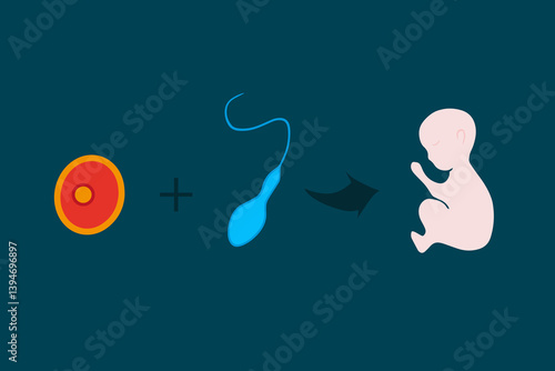 Іn vitro fertilization. Artificial insemination. Freezing of eggs and sperm. Fertilization process.