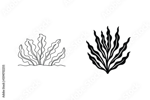 Minimalist Seaweed Set Line Art And Silhouette Marine Plant Illustration