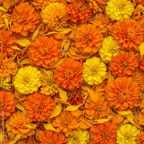 Bright Orange and Yellow Ma...