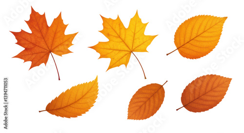 Isolated Autmn Leaves