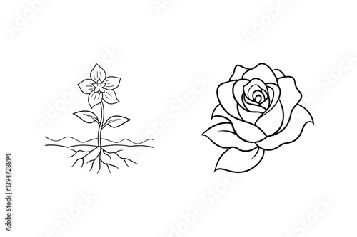 Floral Line Art Set With Wildflower Growing And Rose Illustration