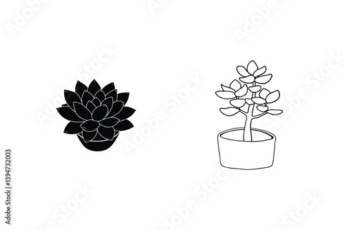 Black And White Line Art Illustration Of Potted Succulent Plants