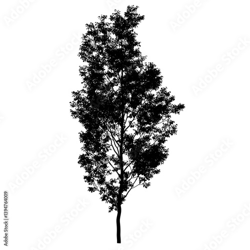 isolated tree silhouette