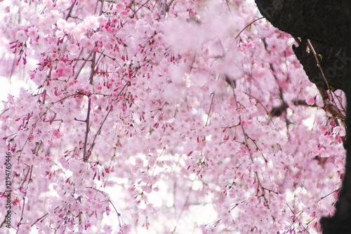 눈부시고 아름다운 자연의 힘