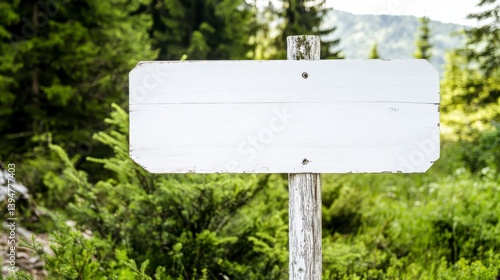Blank white weathered wooden signpost in a green forest setting. Perfect for your text or message.