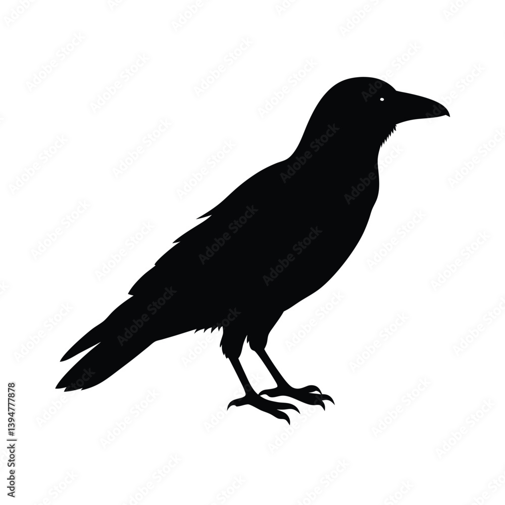 Obraz premium Raven Silhouette With Shadow Silhouette