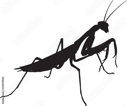 Black silhouette mantis animal solid white color vector image