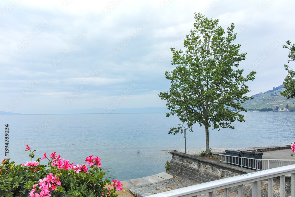 Landscape from town of Vevey to Lake Geneva, Switzerland