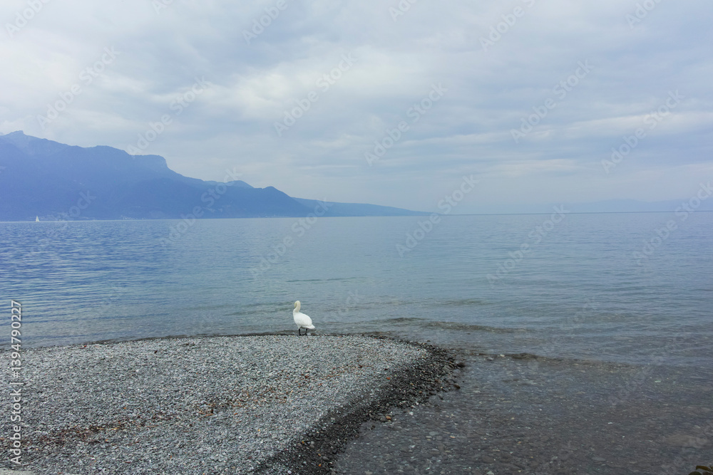 Landscape from town of Vevey to Lake Geneva, Switzerland