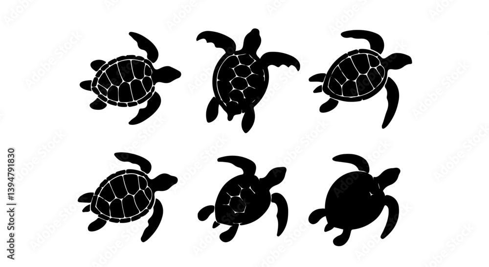 Fototapeta premium Distinct Sea Turtle Silhouettes: Exploring Unique Shell Patterns and Designs