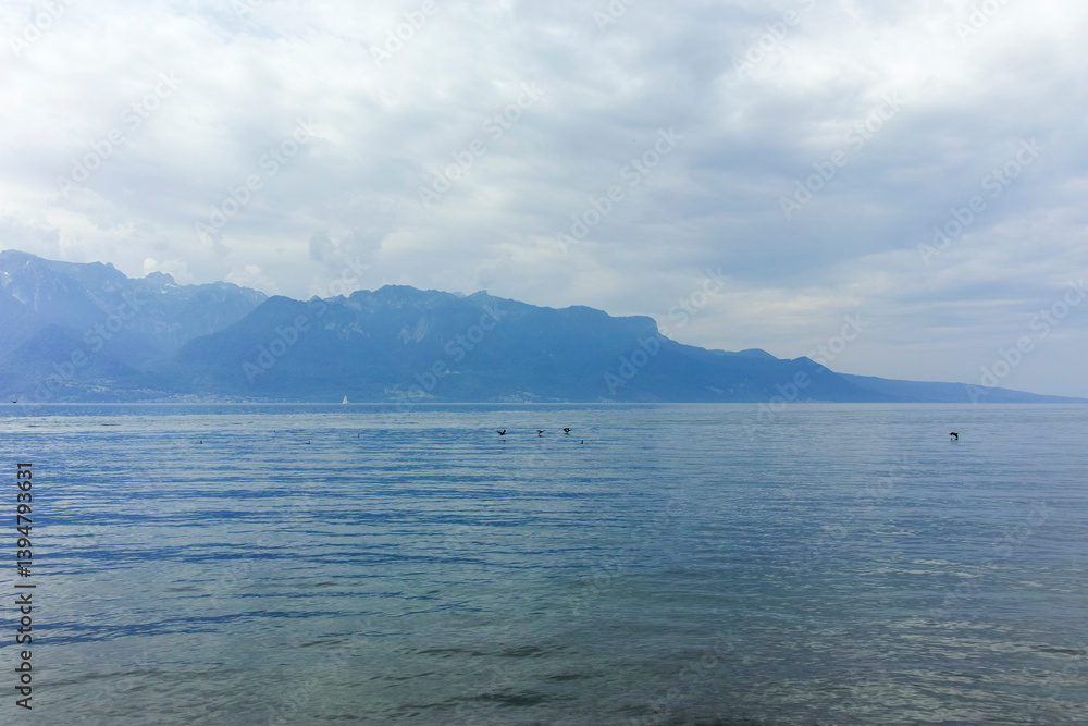 Landscape from town of Vevey to Lake Geneva, Switzerland