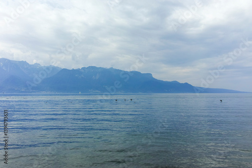 Obraz na płótnie Landscape from town of Vevey to Lake Geneva, Switzerland w salonie