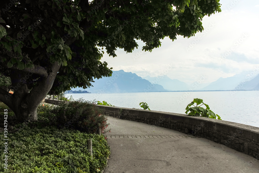 Landscape from town of Vevey to Lake Geneva, Switzerland