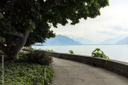 Obraz na płótnie Landscape from town of Vevey to Lake Geneva, Switzerland w salonie