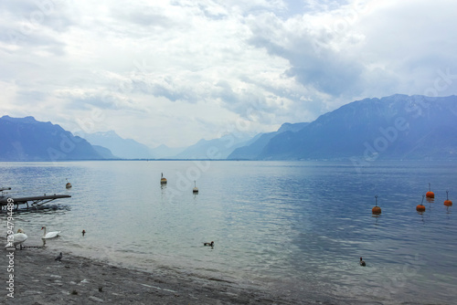 Obraz na płótnie Landscape from town of Vevey to Lake Geneva, Switzerland w salonie