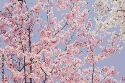 신비로운 자연이 주는 힘