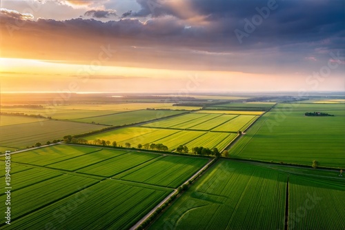 Aerial View of Lush Green Fields at Sunset, Agricultural Landscape
