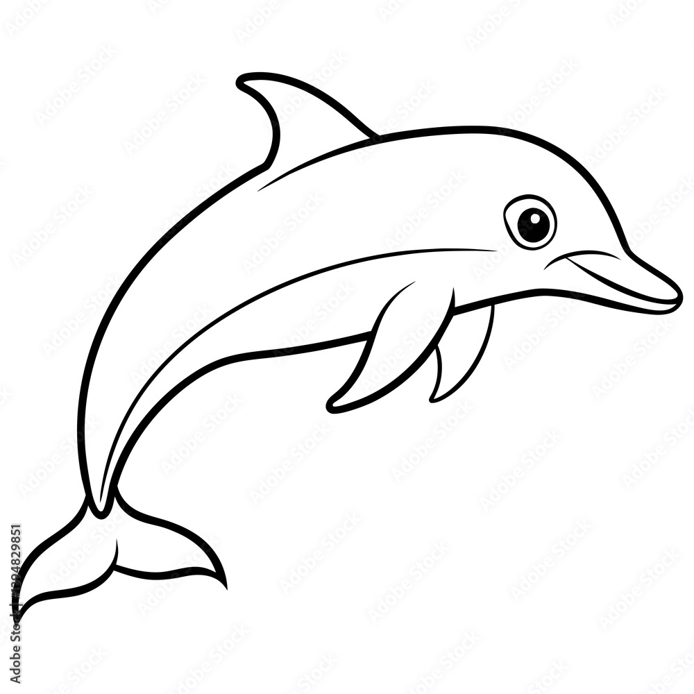 dolphin dolphin