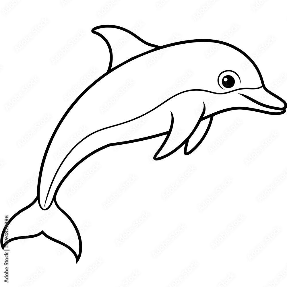 dolphin dolphin