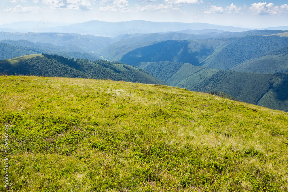 rolling scenery with grassy alpine meadow. view to valley. scenic carpathian mountain landscape of borzhava ridge. popular travel destination of ukraine on a sunny day in summer. clouds above horizon