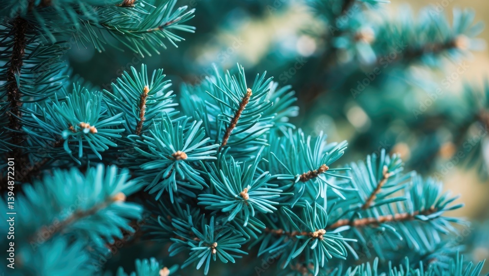 Detailed View of Pine Tree Detailed View of Pine Tree