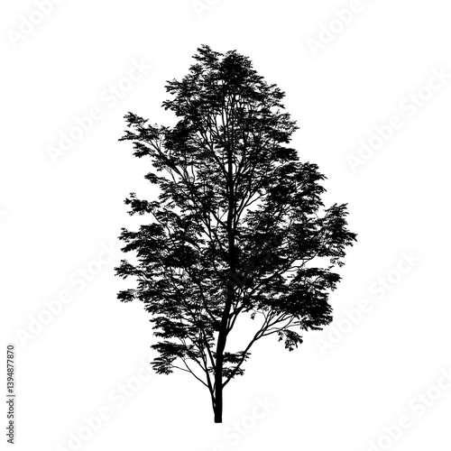 tree silhouette isolated on white