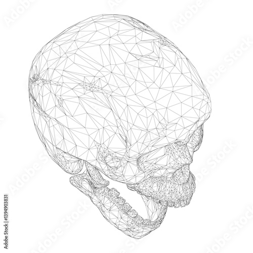 A skull is shown in a black and white image. The skull is drawn in a very detailed and intricate manner, with many lines and patterns. The image has a somewhat eerie and unsettling mood