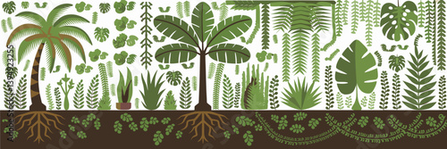 Vector icon set of rainforest plants with palm, banana, and monstera – Ideal for environmental blogs, tropical-themed packaging, or gardening apps.