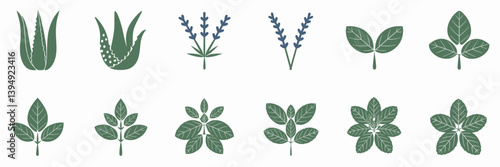 Simple icon set of medicinal plants including aloe vera and mint – Ideal for eco-friendly branding, health-focused content, or alternative medicine themes