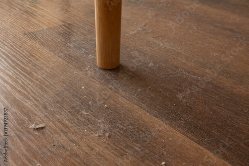 Dust nad Dirt on a Wooden Floor. Dirty Floor Under Table. Colonies of Dust Bunnies Underneath. Under Table Floor Duster. Untidiness House.	