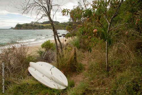 Abandoned surfboard on a grassy path near a secluded beach with trees and overcast sky. Waiheke Island, Auckland, New Zealand