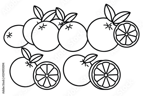 Konstfotografi calamansi line art tropical fruit detailed drawing