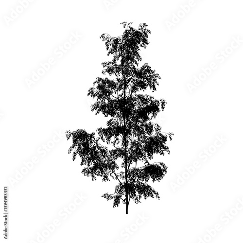 isolated tree silhouette