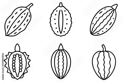 bitter melon line art vintage hand sketched healthy food.