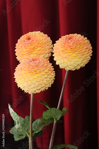 Three round yellow flower heads