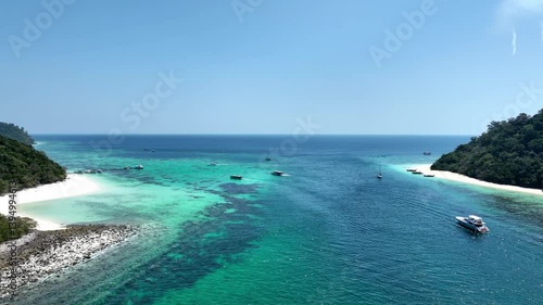 Aerail view of green forest and the sea. natural ecosystems of forests and oceans. concept of natural forest conservation