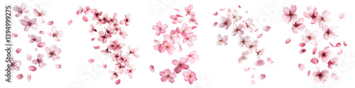PNG Delicate pink cherry blossoms, element set on transparent background