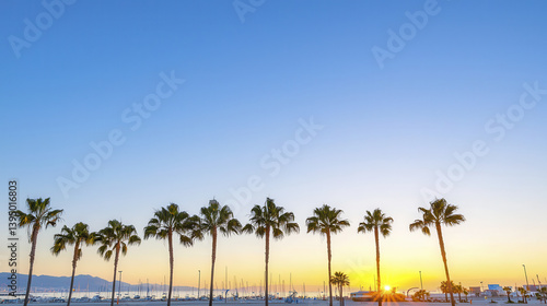Wallpaper Mural Vibrant sunset with silhouetted palm trees against clear sky, creating serene atmosphere by marina Torontodigital.ca