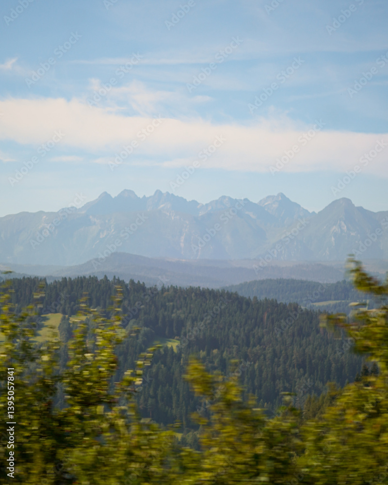 High Tatra nation park mountains covered in fog with green leaf trees in the front, Slovakia High Tatra nation park mountains covered in fog with green leaf trees in the front, Slovakia