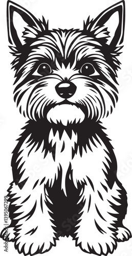 Yorkshire terrier dog. Hand drawn vector illustration	