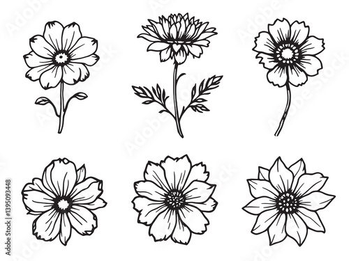 Waxflower line art delicate design showcasing nature’s elegance and beauty 