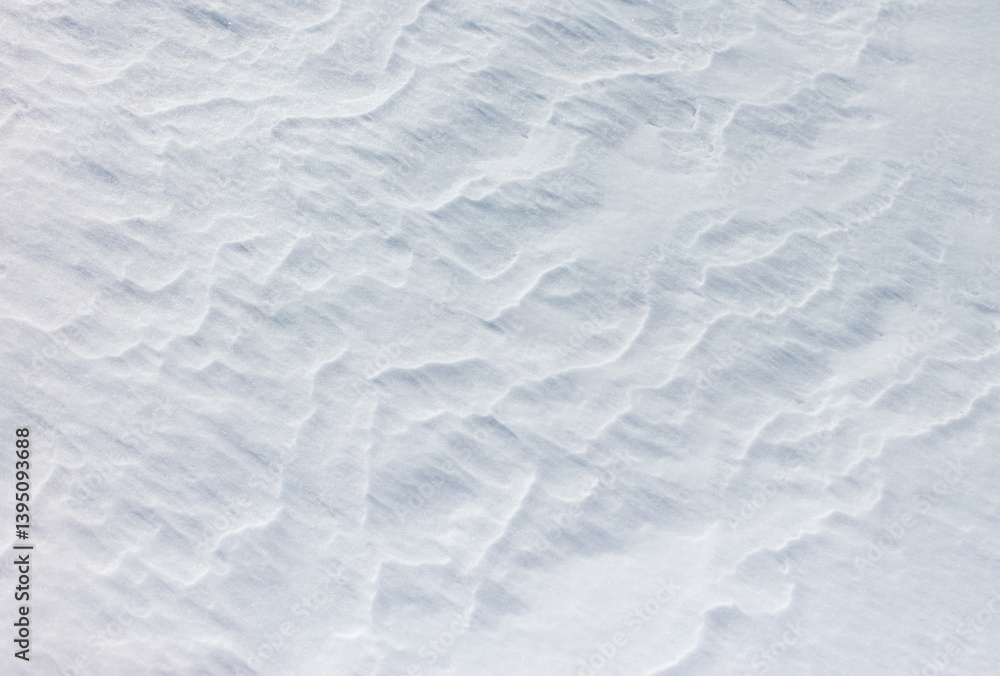 The snow is white and the ground is covered in it The snow is white and the ground is covered in it