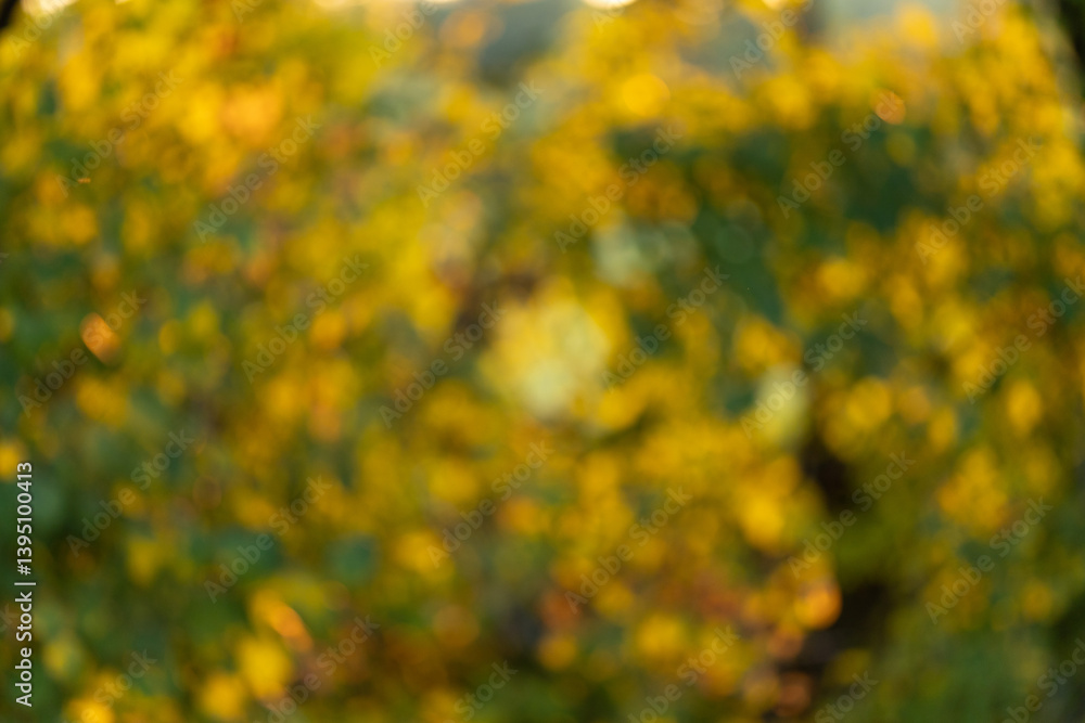 immagine sfuocata con effetto bokeh di un ambiente naturale reale dalle sfumature di colore verde e giallo
