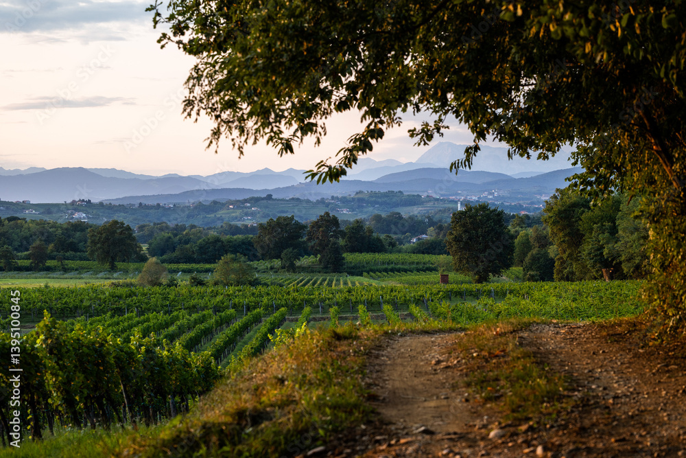 vista dettagliata di vari ambienti naturali nella regione Friuli Venezia Giulia, al tramonto, a fine estate, nell'Italia nord-orientale, che si estendono dalla campagna, verso le colline e le montagne