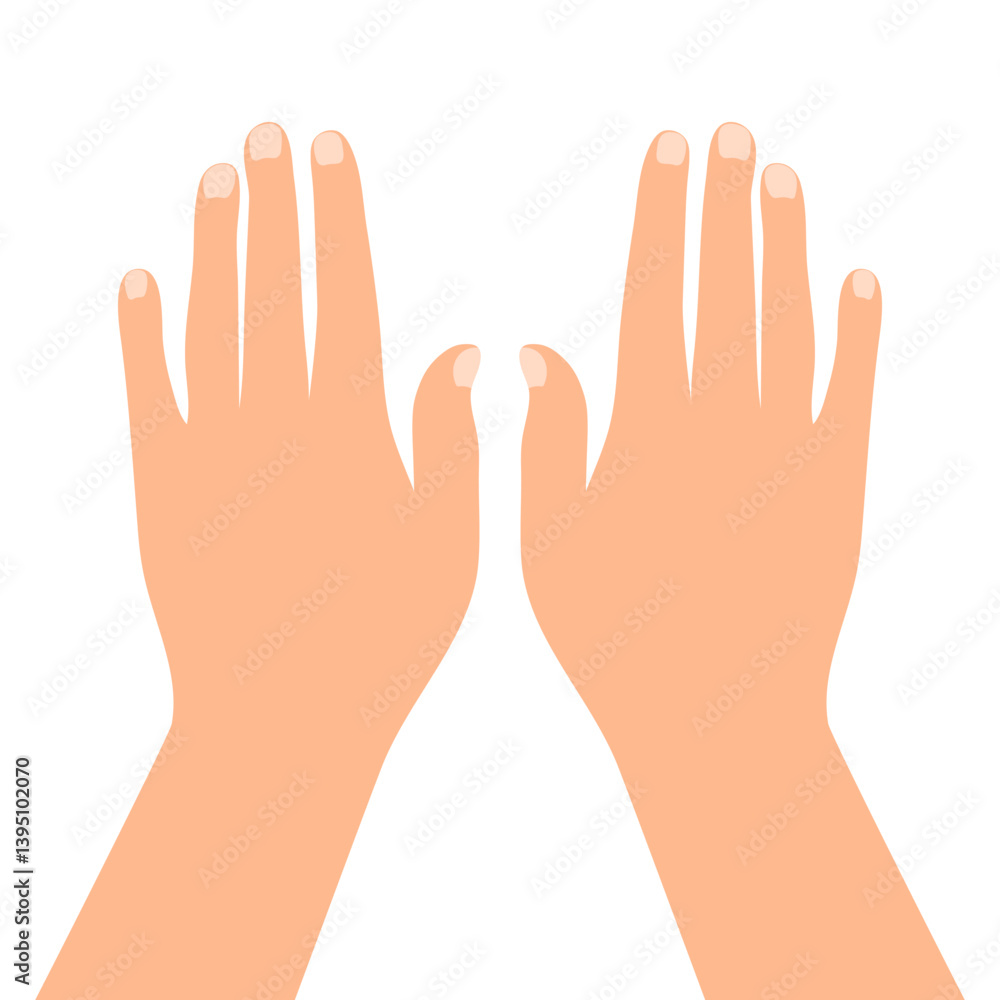 Back of the hand. Outstretched human hands isolated on white background. Straight arms. Vector illustration Back of the hand. Outstretched human hands isolated on white background. Straight arms. Vector illustration