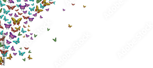 Beautiful butterfly background vector set