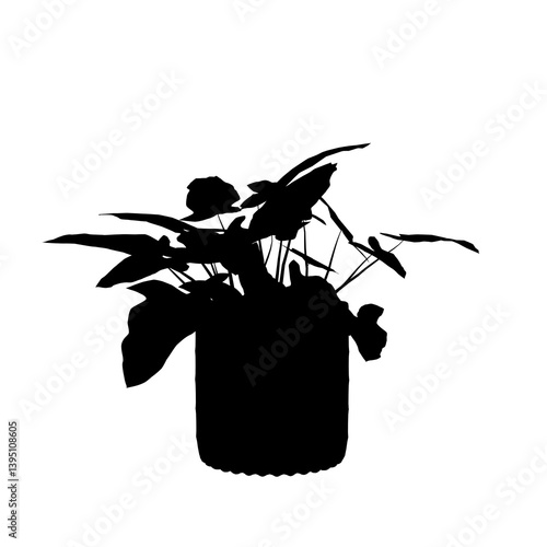 silhouette of a Plant