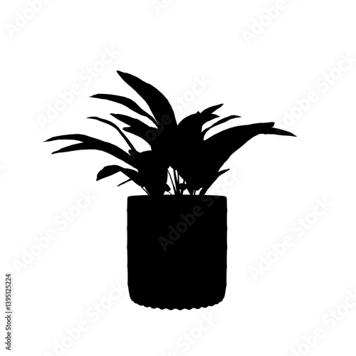 silhouette of a Plant