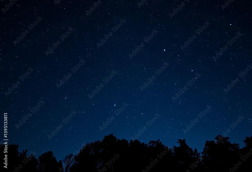 Dark blue night sky, countless stars twinkling above silhouetted trees Ample copy space, mysterious, night sky Dark blue night sky, countless stars twinkling above silhouetted trees Ample copy space, mysterious, night sky