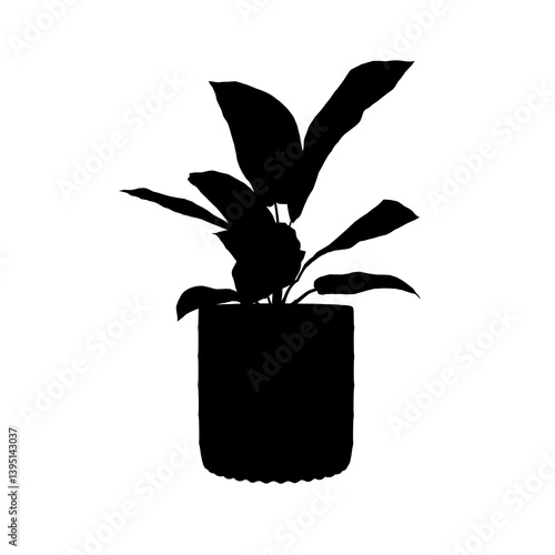 silhouette of a Plant